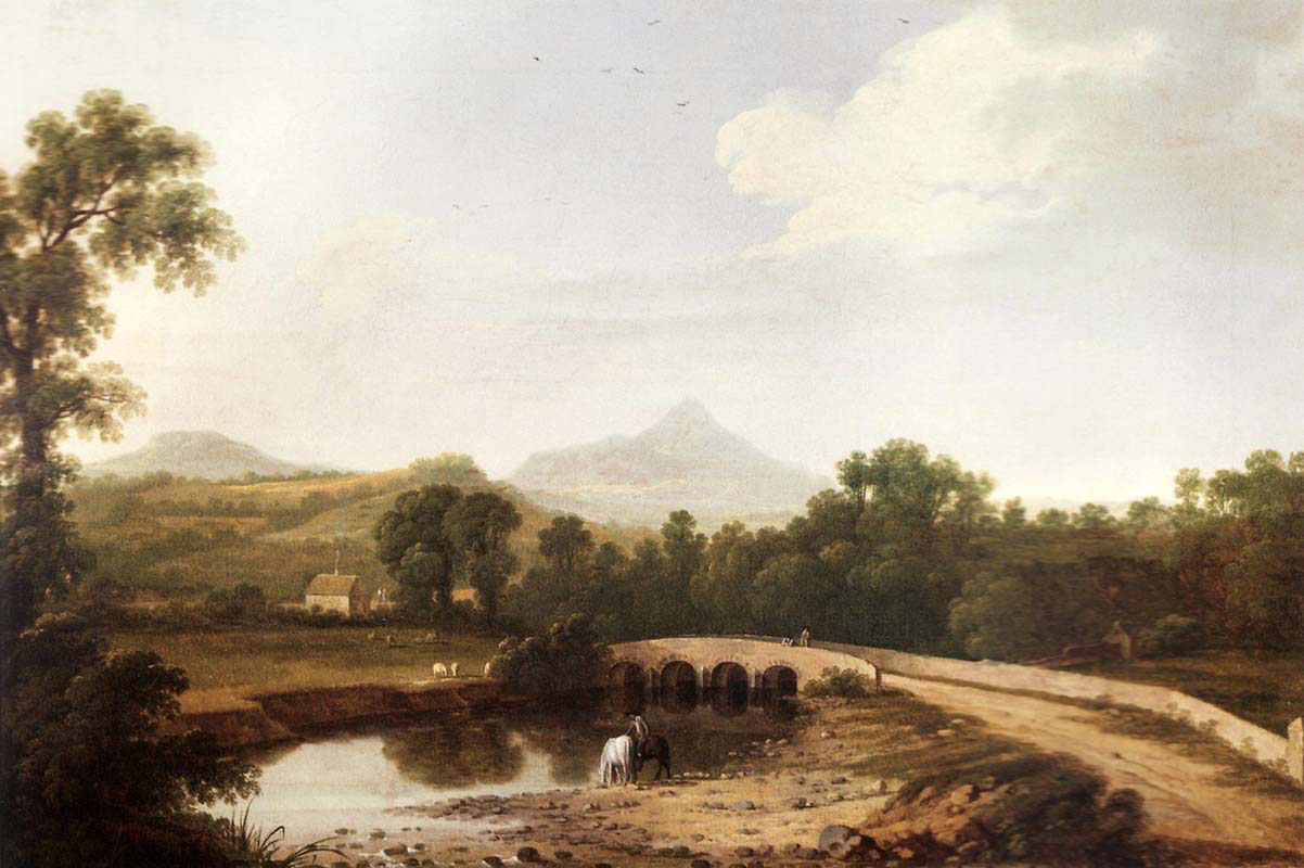 View near Enniskerry County Wicklow